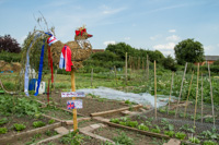 The winning entry in Edingley's Open Allotment Weekend Scarecrow competition.